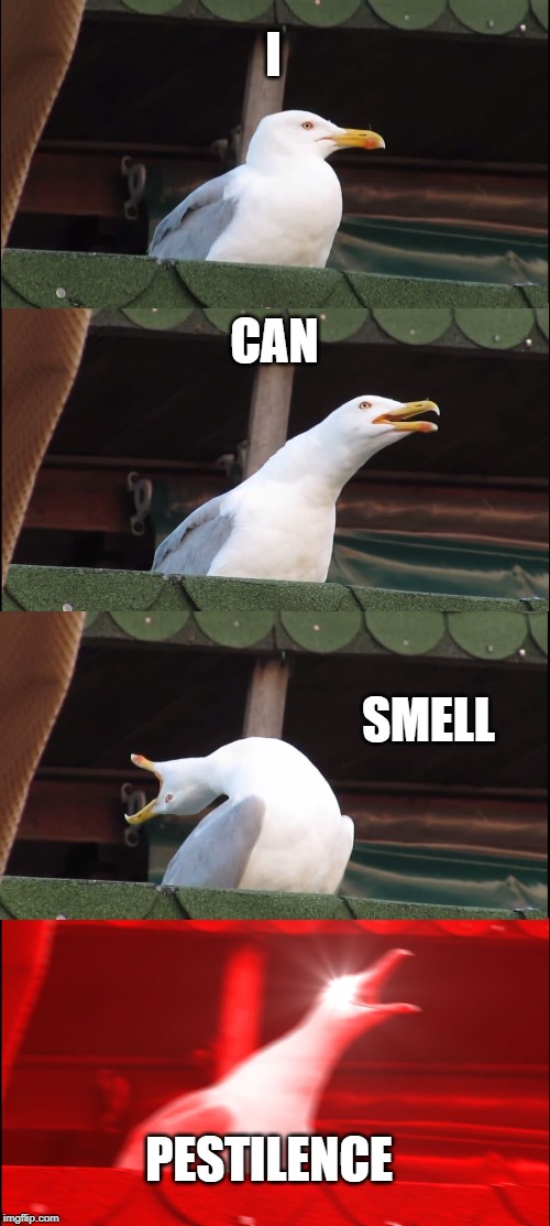 Inhaling Seagull | I; CAN; SMELL; PESTILENCE | image tagged in memes,inhaling seagull | made w/ Imgflip meme maker