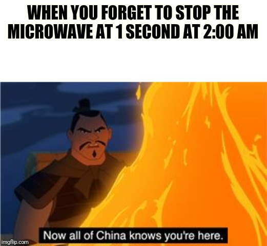 Now all of China knows you're here | WHEN YOU FORGET TO STOP THE MICROWAVE AT 1 SECOND AT 2:00 AM | image tagged in now all of china knows you're here | made w/ Imgflip meme maker