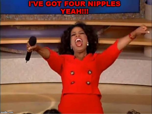 Oprah You Get A | I'VE GOT FOUR NIPPLES
YEAH!!! | image tagged in memes,oprah you get a | made w/ Imgflip meme maker