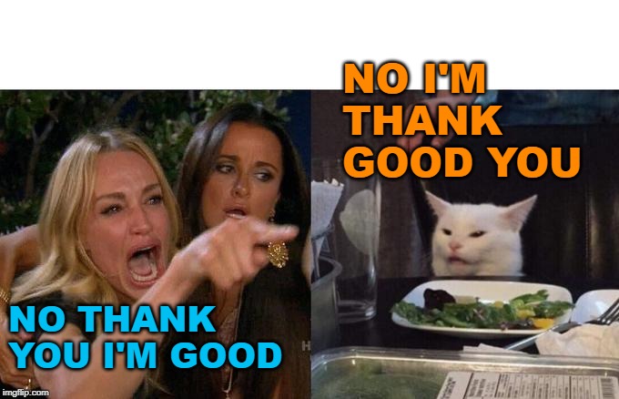 Woman Yelling At Cat Meme | NO THANK YOU I'M GOOD NO I'M THANK GOOD YOU | image tagged in memes,woman yelling at cat | made w/ Imgflip meme maker