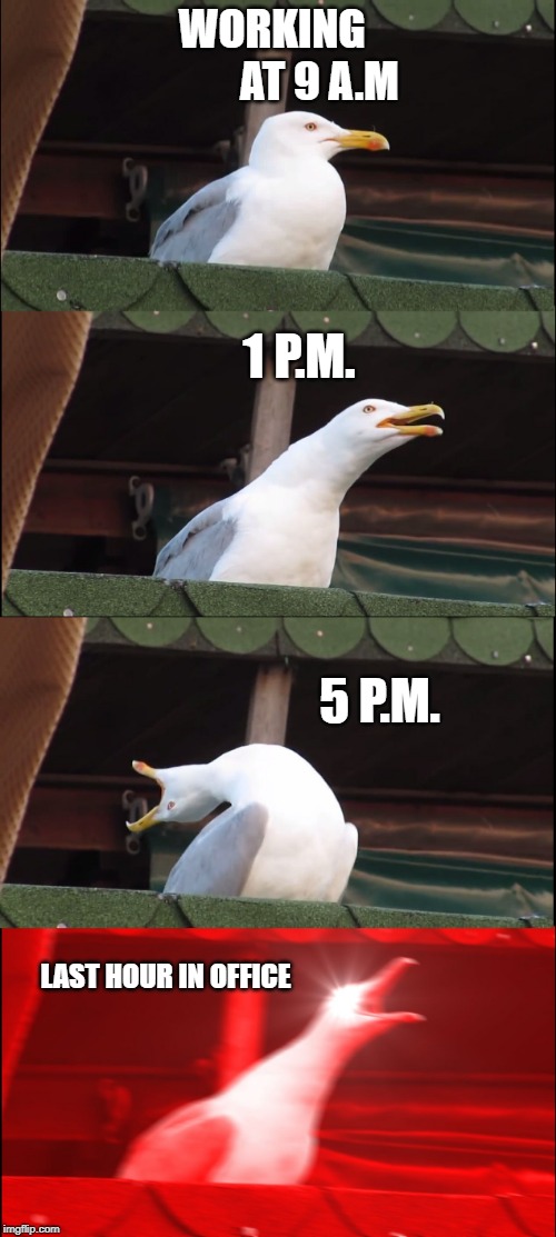 Inhaling Seagull | WORKING 
          AT 9 A.M; 1 P.M. 5 P.M. LAST HOUR IN OFFICE | image tagged in memes,inhaling seagull | made w/ Imgflip meme maker
