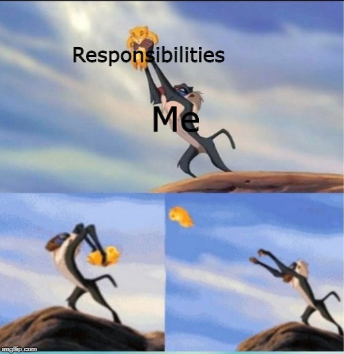 lion being yeeted | Responsibilities; Me | image tagged in lion being yeeted | made w/ Imgflip meme maker