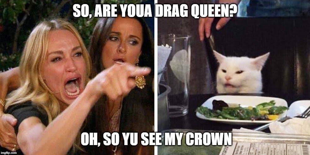 Smudge the cat | SO, ARE YOUA DRAG QUEEN? OH, SO YU SEE MY CROWN | image tagged in smudge the cat | made w/ Imgflip meme maker