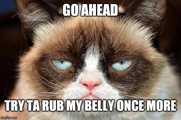 Grumpy Cat Not Amused | GO AHEAD; TRY TA RUB MY BELLY ONCE MORE | image tagged in memes,grumpy cat not amused,grumpy cat | made w/ Imgflip meme maker