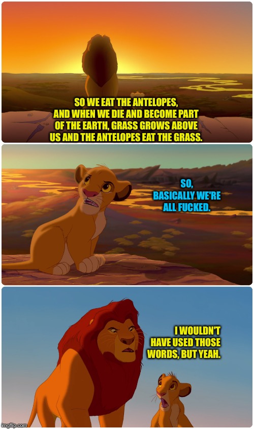 The lion king explains it all | SO WE EAT THE ANTELOPES, AND WHEN WE DIE AND BECOME PART OF THE EARTH, GRASS GROWS ABOVE US AND THE ANTELOPES EAT THE GRASS. SO, BASICALLY WE'RE ALL FUCKED. I WOULDN'T HAVE USED THOSE WORDS, BUT YEAH. | image tagged in lion king meme | made w/ Imgflip meme maker