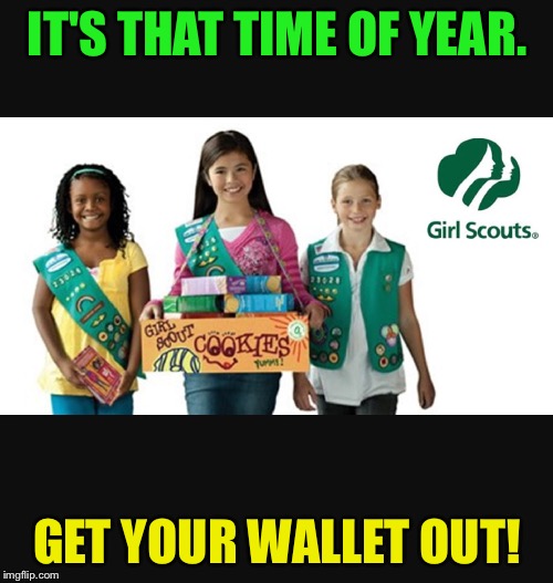 Girl scout | IT'S THAT TIME OF YEAR. GET YOUR WALLET OUT! | image tagged in girl scout | made w/ Imgflip meme maker