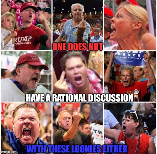 Triggered Trump supporters | ONE DOES NOT WITH THESE LOONIES EITHER HAVE A RATIONAL DISCUSSION | image tagged in triggered trump supporters | made w/ Imgflip meme maker