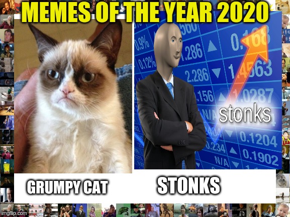 memes of the year: 2020 | MEMES OF THE YEAR 2020; GRUMPY CAT; STONKS | image tagged in grumpy cat,stonks,memesoftheyear,memes | made w/ Imgflip meme maker