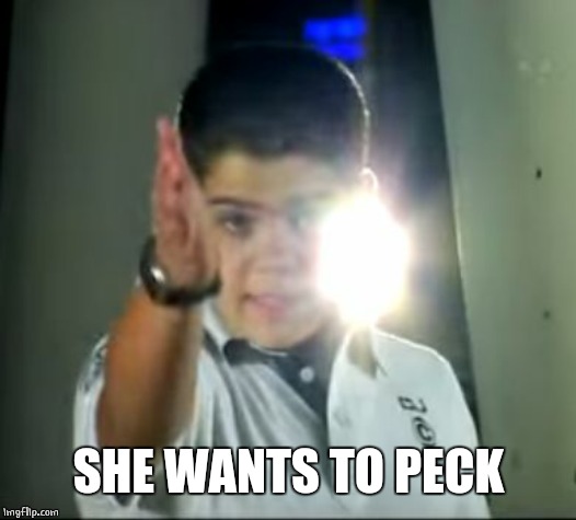 GO GO GO AWAY!  | SHE WANTS TO PECK | image tagged in go go go away | made w/ Imgflip meme maker