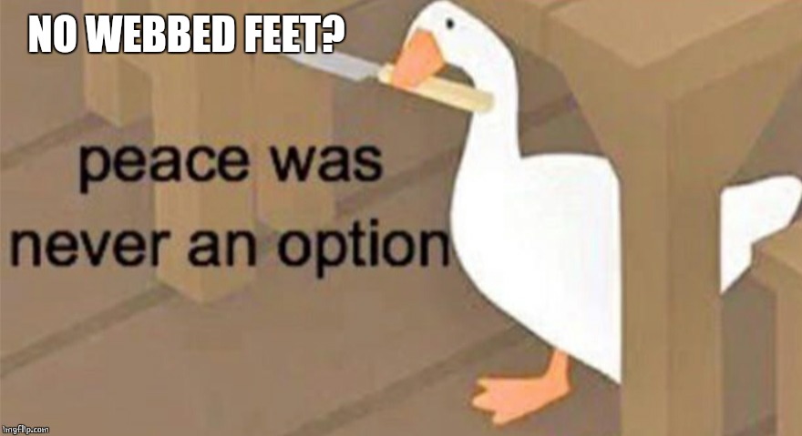 Untitled Goose Peace Was Never an Option | NO WEBBED FEET? | image tagged in untitled goose peace was never an option | made w/ Imgflip meme maker