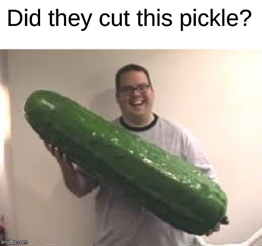 Pickles are good | Did they cut this pickle? | image tagged in pickles are good | made w/ Imgflip meme maker