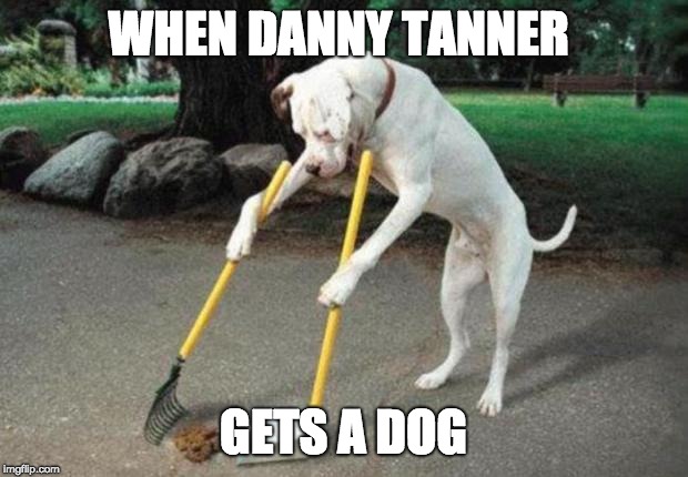 Dog poop | WHEN DANNY TANNER; GETS A DOG | image tagged in dog poop | made w/ Imgflip meme maker