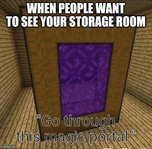 What come again? | WHEN PEOPLE WANT TO SEE YOUR STORAGE ROOM; "Go through this magic portal." | image tagged in what come again | made w/ Imgflip meme maker