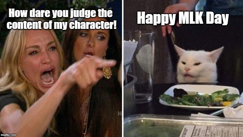 MLK Angry Woman and Cat | Happy MLK Day; How dare you judge the
 content of my character! | image tagged in woman yelling at white cat,mlk,i have a dream,character,mlk jr,holiday | made w/ Imgflip meme maker