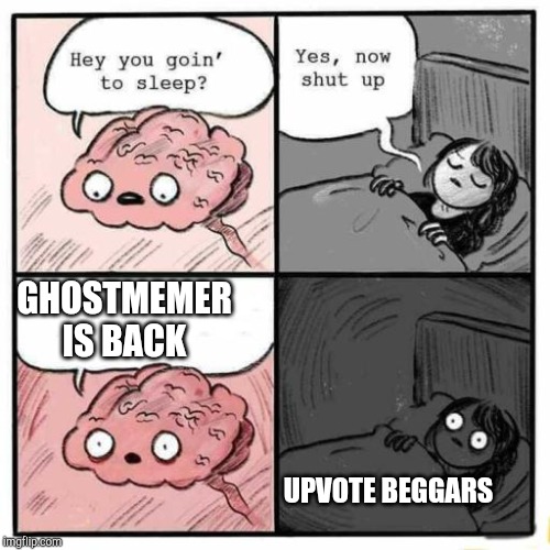 Hey you going to sleep? | GHOSTMEMER IS BACK; UPVOTE BEGGARS | image tagged in hey you going to sleep | made w/ Imgflip meme maker