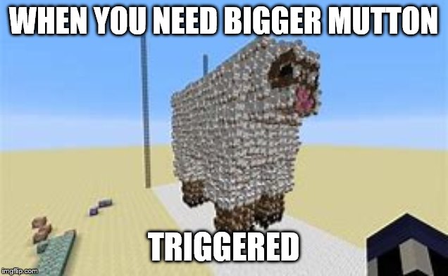 minecraft sheep made of sheep | WHEN YOU NEED BIGGER MUTTON; TRIGGERED | image tagged in sheep | made w/ Imgflip meme maker