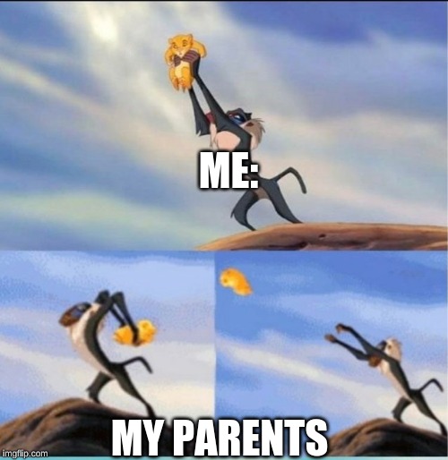 lion being yeeted | ME:; MY PARENTS | image tagged in lion being yeeted | made w/ Imgflip meme maker