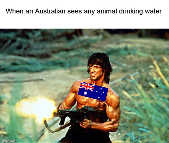 Rambo shooting | When an Australian sees any animal drinking water | image tagged in rambo shooting | made w/ Imgflip meme maker