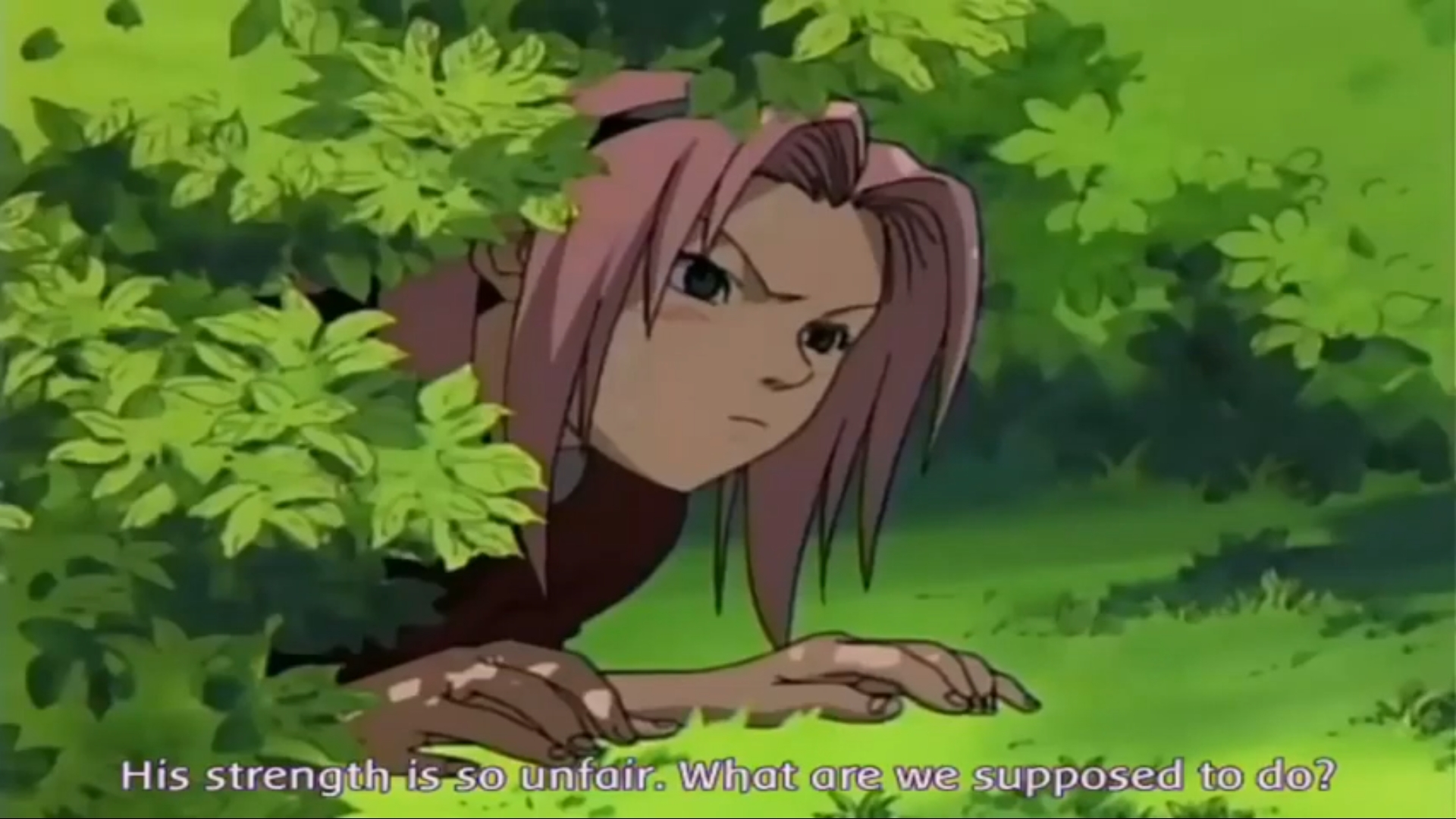 Sakura Camping Blank Meme Template