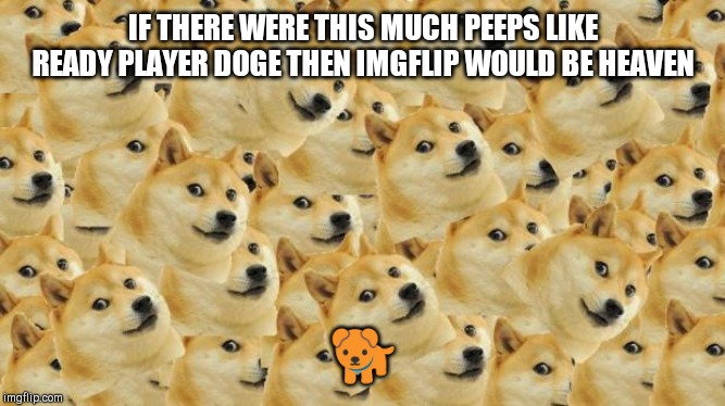 Multi Doge | IF THERE WERE THIS MUCH PEEPS LIKE READY PLAYER DOGE THEN IMGFLIP WOULD BE HEAVEN; 🐕 | image tagged in memes,multi doge | made w/ Imgflip meme maker