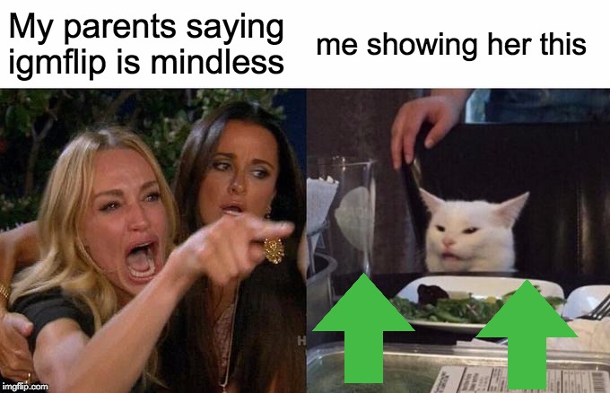 My parents saying igmflip is mindless me showing her this | image tagged in memes,woman yelling at cat | made w/ Imgflip meme maker