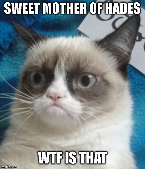 Surprised grumpy cat | SWEET MOTHER OF HADES WTF IS THAT | image tagged in surprised grumpy cat | made w/ Imgflip meme maker
