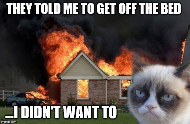 Burn Kitty | THEY TOLD ME TO GET OFF THE BED; ...I DIDN'T WANT TO | image tagged in memes,burn kitty,grumpy cat | made w/ Imgflip meme maker