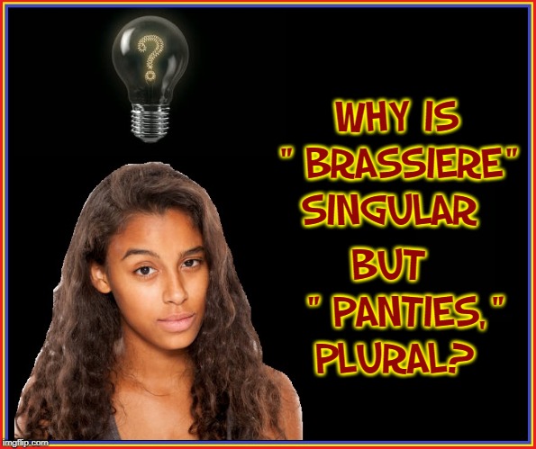 Questions that Perplex Brunettes | WHY IS " BRASSIERE" SINGULAR; BUT   " PANTIES," PLURAL? | image tagged in vince vance,question mark,light bulb,eternal questions,grammar,enquiring minds want to know | made w/ Imgflip meme maker