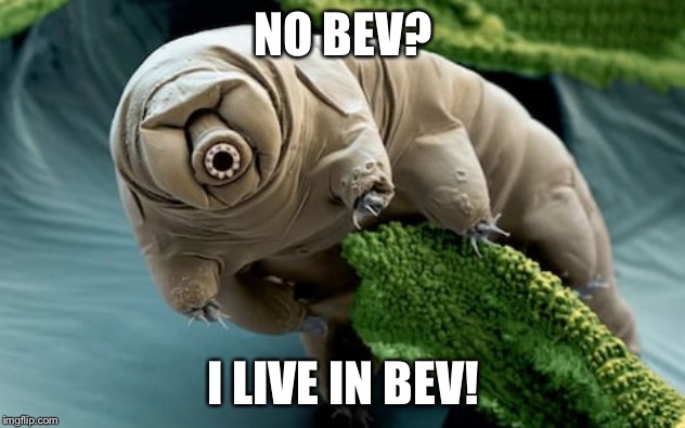 No bev | NO BEV? I LIVE IN BEV! | image tagged in memes | made w/ Imgflip meme maker