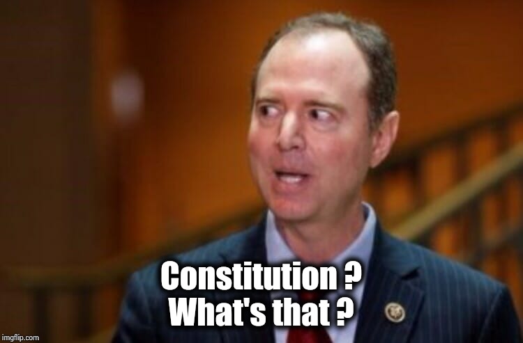 Adam Schiff | Constitution ?
What's that ? | image tagged in adam schiff | made w/ Imgflip meme maker