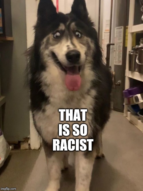 THAT
IS SO
RACIST | made w/ Imgflip meme maker
