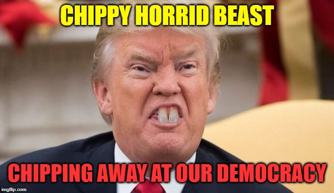 CHIPPY HORRID BEAST | CHIPPY HORRID BEAST; CHIPPING AWAY AT OUR DEMOCRACY | image tagged in donald trump | made w/ Imgflip meme maker