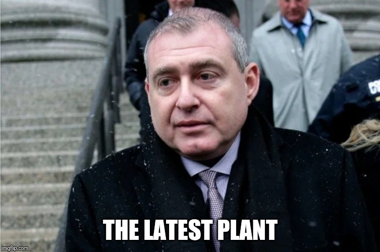 Lev Parnas | THE LATEST PLANT | image tagged in lev parnas | made w/ Imgflip meme maker