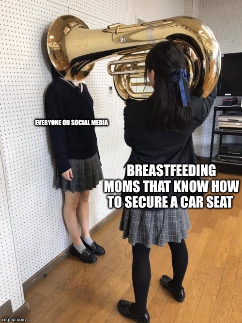 Girl Putting Tuba on Girl's Head | EVERYONE ON SOCIAL MEDIA; BREASTFEEDING MOMS THAT KNOW HOW TO SECURE A CAR SEAT | image tagged in girl putting tuba on girl's head,annoying moms,breastfeeding | made w/ Imgflip meme maker