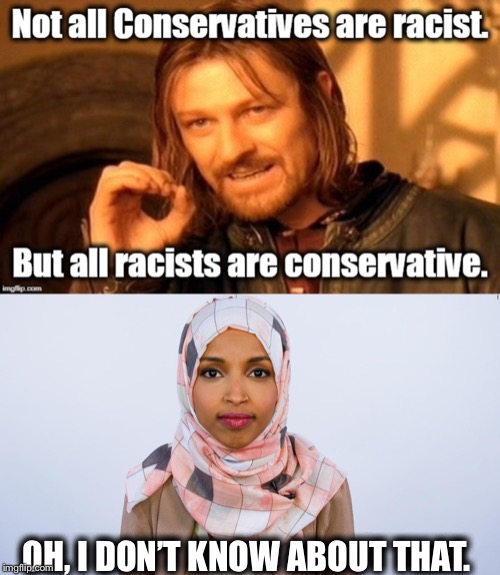 In response to the drive-by libtard who left the first part in the comments section on one of my memes yesterday. | OH, I DON’T KNOW ABOUT THAT. | image tagged in ilhan omar,racism,conservatives,liberal logic,liberal hypocrisy,libtards | made w/ Imgflip meme maker