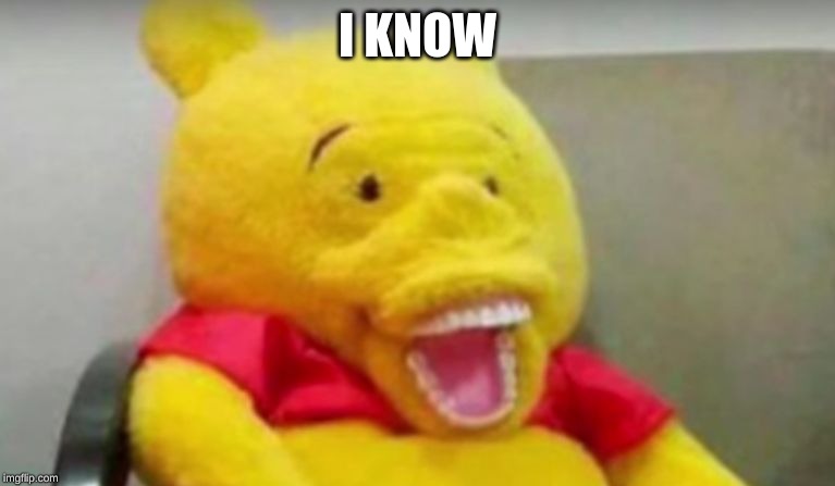 Winnie The Pooh Whaaat | I KNOW | image tagged in winnie the pooh whaaat | made w/ Imgflip meme maker