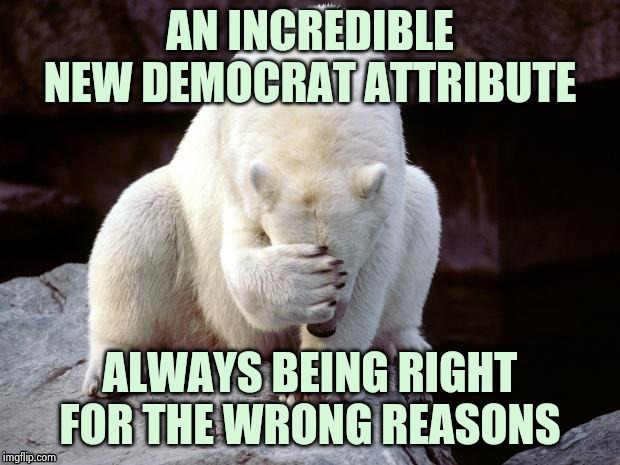 Polar Bear | AN INCREDIBLE NEW DEMOCRAT ATTRIBUTE ALWAYS BEING RIGHT FOR THE WRONG REASONS | image tagged in polar bear | made w/ Imgflip meme maker