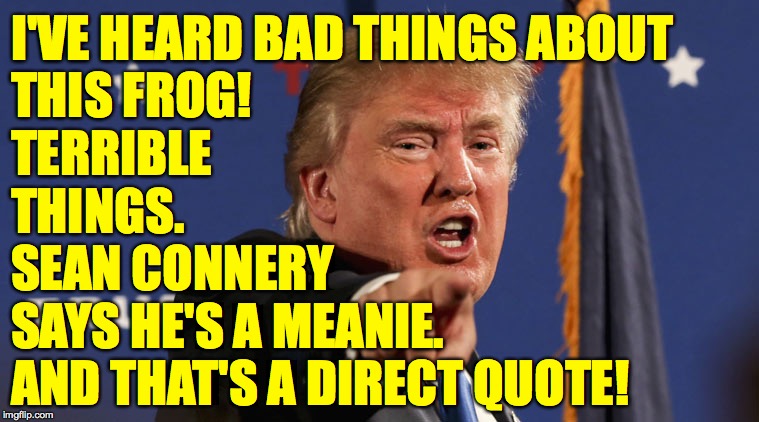 trump-angry-finger-fake-news | I'VE HEARD BAD THINGS ABOUT
THIS FROG!
TERRIBLE
THINGS. SEAN CONNERY
SAYS HE'S A MEANIE.
AND THAT'S A DIRECT QUOTE! | image tagged in trump-angry-finger-fake-news | made w/ Imgflip meme maker