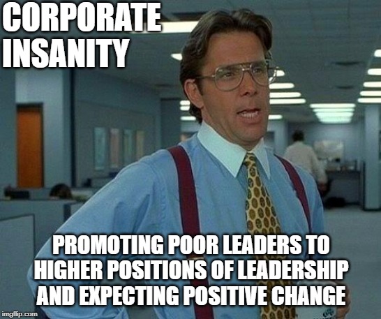 Many company's challenges lie in their own leadership teams and decisions. Sadly they lack perspective which enables seeing it. |  CORPORATE
INSANITY; PROMOTING POOR LEADERS TO HIGHER POSITIONS OF LEADERSHIP AND EXPECTING POSITIVE CHANGE | image tagged in memes,that would be great,corporate,corporations,insanity,change | made w/ Imgflip meme maker