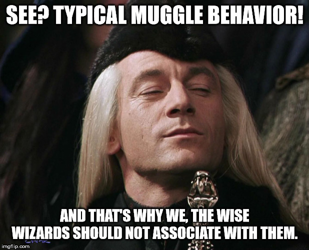 Lucius Malfoy | SEE? TYPICAL MUGGLE BEHAVIOR! AND THAT'S WHY WE, THE WISE WIZARDS SHOULD NOT ASSOCIATE WITH THEM. | image tagged in lucius malfoy | made w/ Imgflip meme maker
