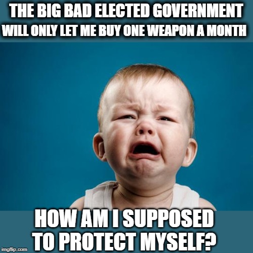Their whining is getting very old | THE BIG BAD ELECTED GOVERNMENT; WILL ONLY LET ME BUY ONE WEAPON A MONTH; HOW AM I SUPPOSED TO PROTECT MYSELF? | image tagged in baby crying,gun control,virginia,snowflakes,memes,politics | made w/ Imgflip meme maker