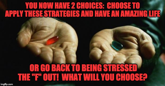 Matrix | YOU NOW HAVE 2 CHOICES:  CHOOSE TO APPLY THESE STRATEGIES AND HAVE AN AMAZING LIFE; OR GO BACK TO BEING STRESSED THE "F" OUT!  WHAT WILL YOU CHOOSE? | image tagged in matrix | made w/ Imgflip meme maker