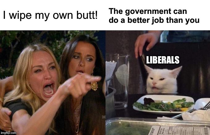 Woman Yelling At Cat Meme | I wipe my own butt! The government can do a better job than you LIBERALS | image tagged in memes,woman yelling at cat | made w/ Imgflip meme maker