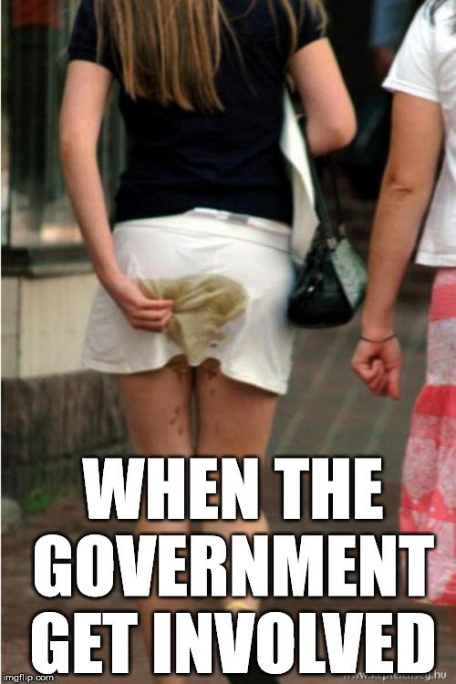 poop girl | WHEN THE GOVERNMENT GET INVOLVED | image tagged in poop girl | made w/ Imgflip meme maker