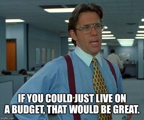 That Would Be Great | IF YOU COULD JUST LIVE ON A BUDGET, THAT WOULD BE GREAT. | image tagged in memes,that would be great | made w/ Imgflip meme maker