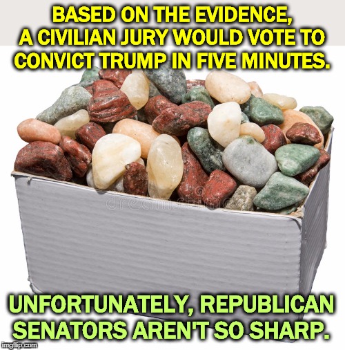 BASED ON THE EVIDENCE, A CIVILIAN JURY WOULD VOTE TO CONVICT TRUMP IN FIVE MINUTES. UNFORTUNATELY, REPUBLICAN SENATORS AREN'T SO SHARP. | image tagged in trump,impeachment,guilty,republican,senators | made w/ Imgflip meme maker