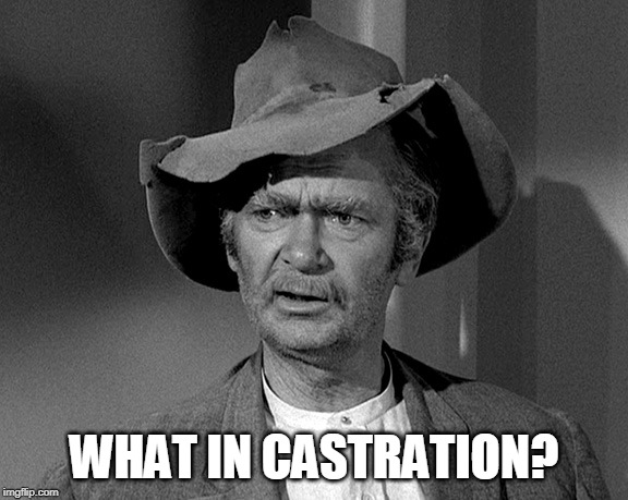 What in tarnation | WHAT IN CASTRATION? | image tagged in what in tarnation | made w/ Imgflip meme maker