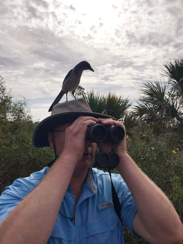 Looking intently for the Florida Scrub-jay. No luck. Blank Meme Template