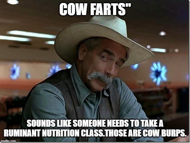 Sarcasm Cowboy | COW FARTS"; SOUNDS LIKE SOMEONE NEEDS TO TAKE A RUMINANT NUTRITION CLASS.THOSE ARE COW BURPS. | image tagged in smart guy | made w/ Imgflip meme maker