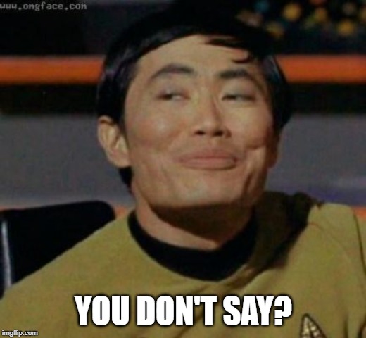 sulu | YOU DON'T SAY? | image tagged in sulu | made w/ Imgflip meme maker